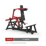 V - Squat - Line - XVD