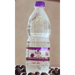 Água Com Gás Fors Sabor Jabuticaba 510ml