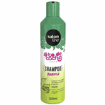 Shampoo Salon Line #todecacho Tratamento Para Divar Babosa 300ml