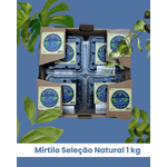 Mirtilo Fruta In Natura Seleção Natural Caixa com 1 kg