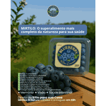 Mirtilo Fruta In Natura caixa com 1kg