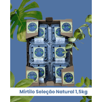 Mirtilo Fruta In Natura Seleção Natural Caixa com 1,5 kg