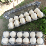 EMBALAGEM PET 12 OVOS GALINHA - FARDO 50 UNIDADES