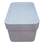 CAIXA ISOPOR 22x14x10 2000 G - PCTE 10 UNID