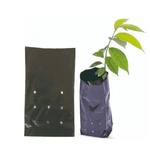 SACO PLASTICO MUDAS 10x22x08 - PCTE 1 KG (+- 550 UNID)