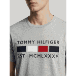 Camiseta Tommy Hilfiger 