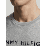 Camiseta Tommy Hilfiger 