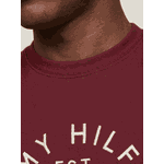 Camiseta Tommy Hilfiger