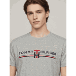 Camiseta Tommy Hilfiger 