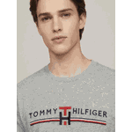 Camiseta Tommy Hilfiger 