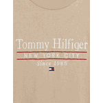 Camiseta Tommy Hilfiger 