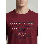 Camiseta Tommy Hilfiger 
