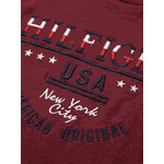 Camiseta Tommy Hilfiger 