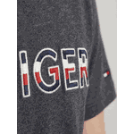 Camiseta Tommy Hilfiger