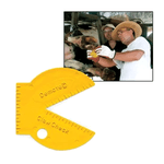 Régua p/ Casco BOVINO