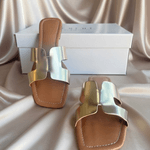 Sandália H Feminina Rasteira Simples Moderna Dourada 