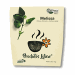 CHÁS DE MELISSA ORGÂNICO - PRODUTOS LILIEN - 15G.