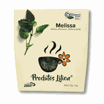 CHÁS DE MELISSA ORGÂNICO - PRODUTOS LILIEN - 15G.