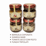 KIT GOURMET PESTOS E ANTEPASTOS ORGÂNICO (8 UNIDADES) - SOLARIUS - 8X30G.