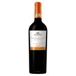 Bueno Paralelo 31 Gran Reserva 2022