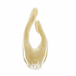 Escultura Cedro Cristal Murano C/ Ouro 24K Grafite G