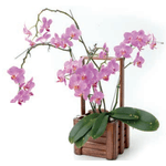 Cesta De Madeira Gg 40x19x19 Cm