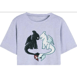 Cropped Camiseta Feminino Camiseta Algodão Premium Dragão Banguela Desenho - QUEIMA DE ESTOQUE