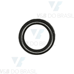 Anel Oring Parker 6252 (4,00 X 5,00)