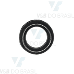 Anel Oring Parker 2009 (5,28 X 8,84)