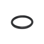 Anel Oring Parker 2015 (14,00 X 17,56)