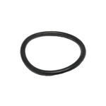 Anel Oring Parker 2019 (20,35 X 23,91)