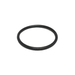 Anel Oring Parker 2020 (21,95 X 25,51)