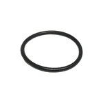Anel Oring Parker 2021 (23,52 X 27,08)