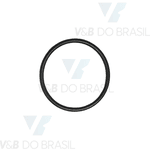 Anel Oring Parker 2022 (25,12 X 28,68)