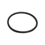 Anel Oring Parker 2024 (28,30 X 31,86)