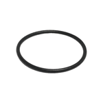 Anel Oring Parker 2025 (29,87 X 33,43)