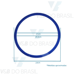 Anel Silicone Vedação Autoclave Bioclean 12/21l Gnatus