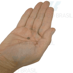 Trava Da Tampa Do Contra ÂNgulo CompatÍVel Kavo