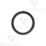 Anel Oring Parker 6564 (15,1 X 19,1)