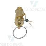 Válvula de Segurança 125 Psi 1/4