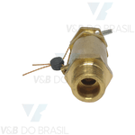 Válvula de Segurança 125 Psi 1/4