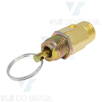 Válvula de Segurança 125 Psi 1/4