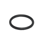 Anel Oring Parker 2016 (15,60 X 19,16)
