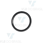 Anel Oring Parker 2016 (15,60 X 19,16)