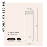 Garrafa Térmica Hydra V3 650ml Cor Vinho