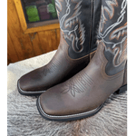 Bota Bulls