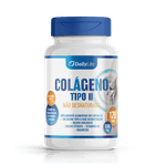 Colágeno Tipo 2 Não Hidrolisado - 120 Cápsulas Daily Life