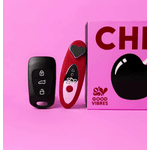VIBRADOR DE CALCINHA COM CONTROLE REMOTO CHERRY CAR 