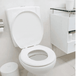 Assento Sanitário Oval Master Branco Astra