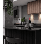 Aquecedor A Gás Rheem 20 Black Premium Connect Wi-fi Cor Preto Tipo De Gás Gn